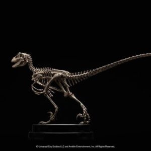 ECC Elite Creature Collectibles ECC Jurassic Park Raptor Bronze 1:8 Scale Skeleton Statue