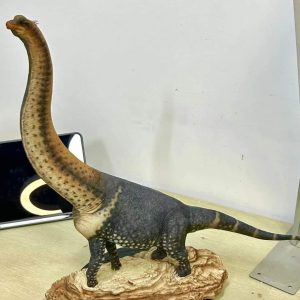 Sumeru Studio Brachiosaurus altithorax 1/35 scale Model Full Painted Version