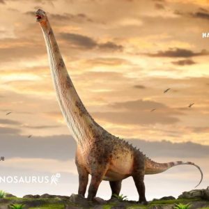 Haolonggood Argentinosaurus 1/35 scale Figure
