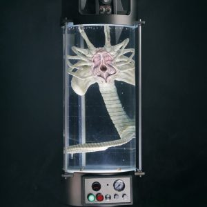 Deep Tale Facehugger Stasis Chamber Life-Size Replica