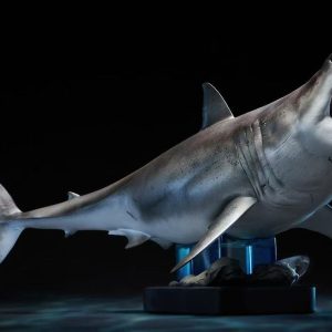 W-dragon 1/18 Great White Shark PVC statue